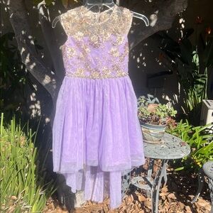 Rare Editions Lavender and Gold Embroidered Girls Dress 10